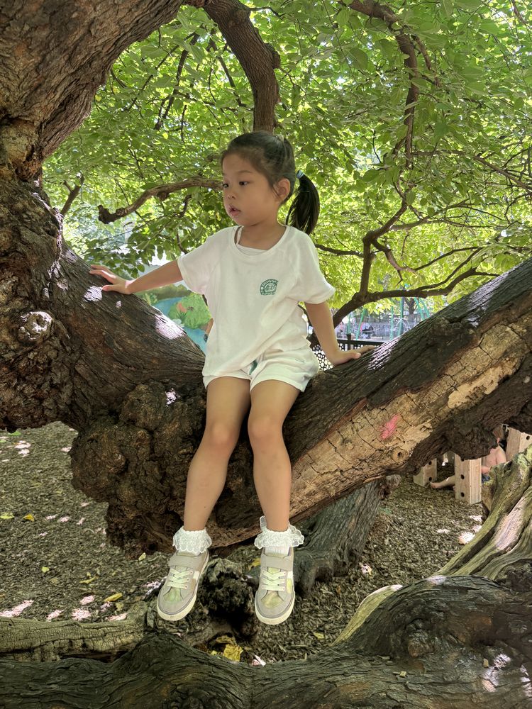 Botanical garden 0825 — 8