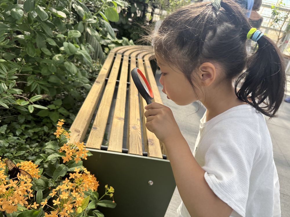 Botanical garden 0825 — 10