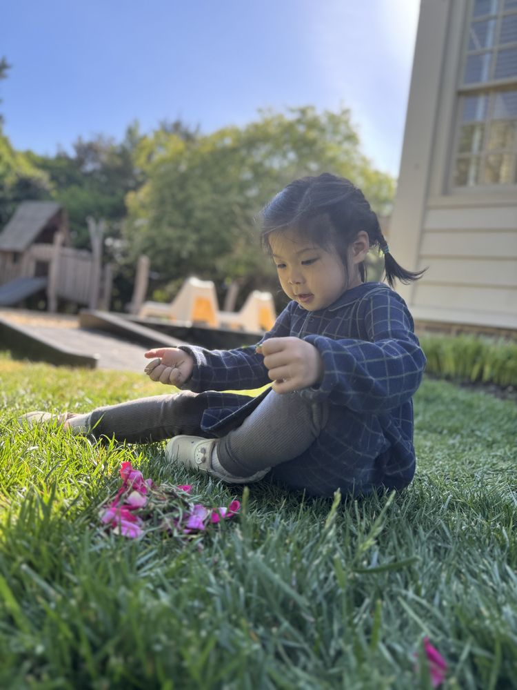 Daily 04 29 — 3