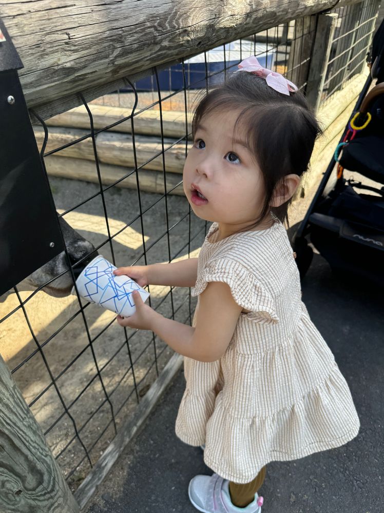 June 2024 — 2