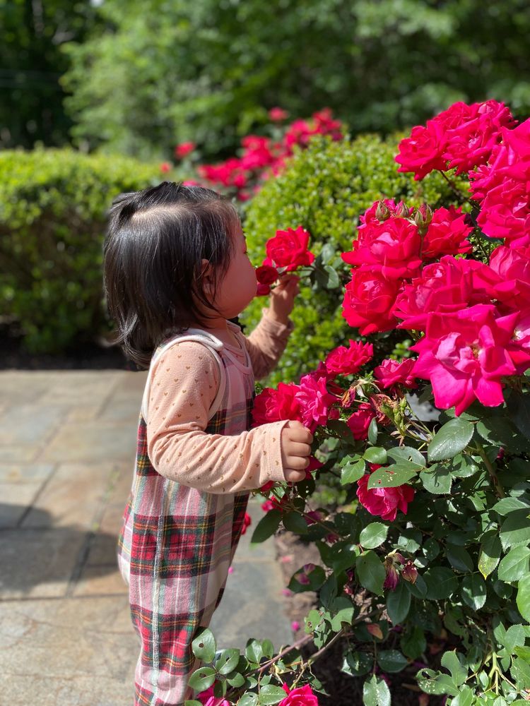 May 2023 — 10