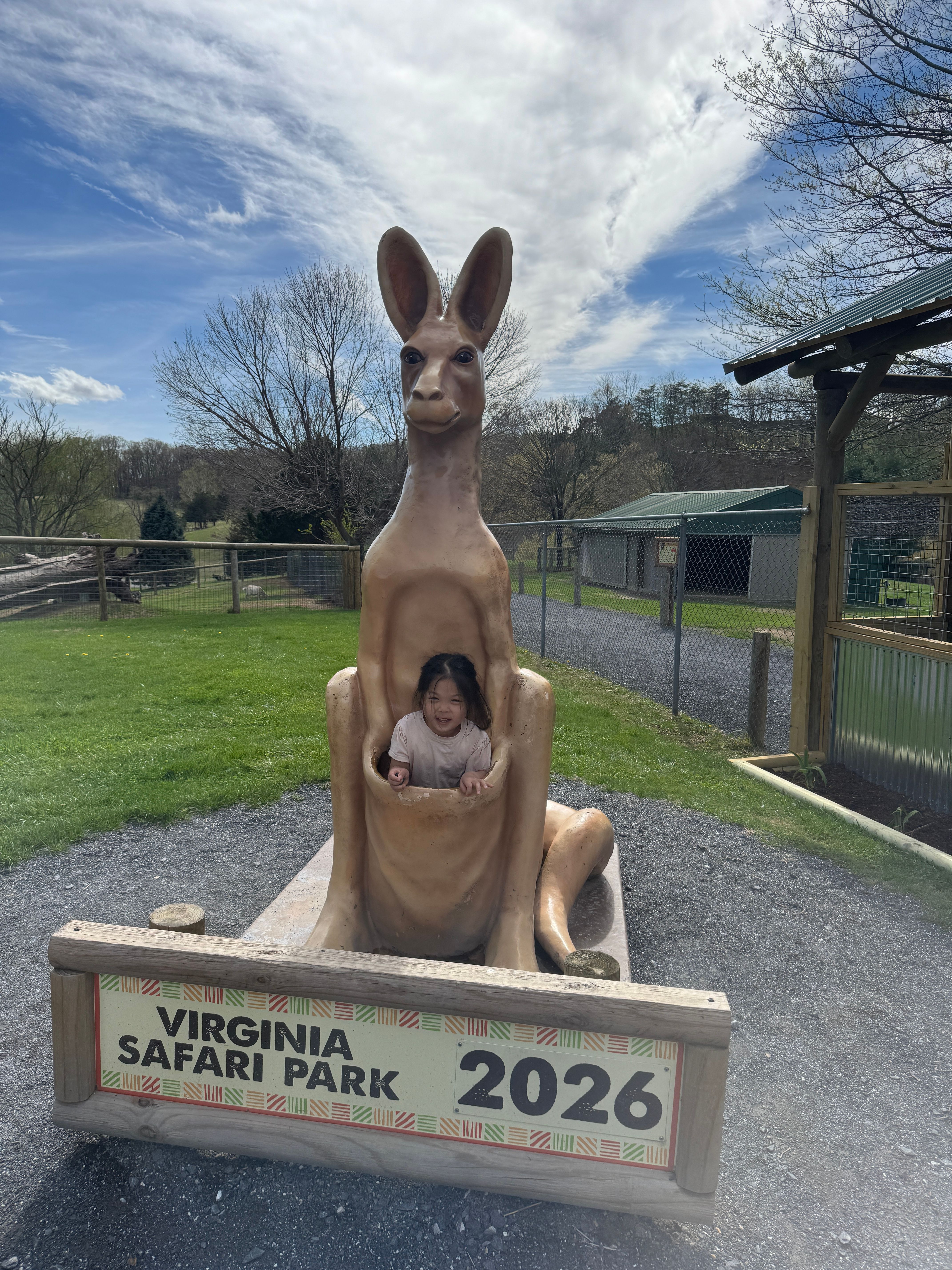 Virginia Safari